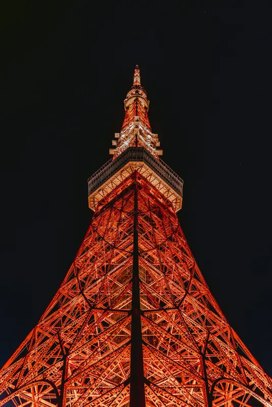 Nicky.Tokyo Premium Domain